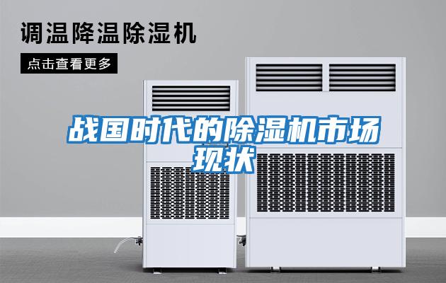 戰(zhàn)國(guó)時(shí)代的除濕機(jī)市場(chǎng)現(xiàn)狀