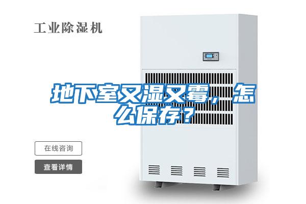 地下室又濕又霉，怎么保存？