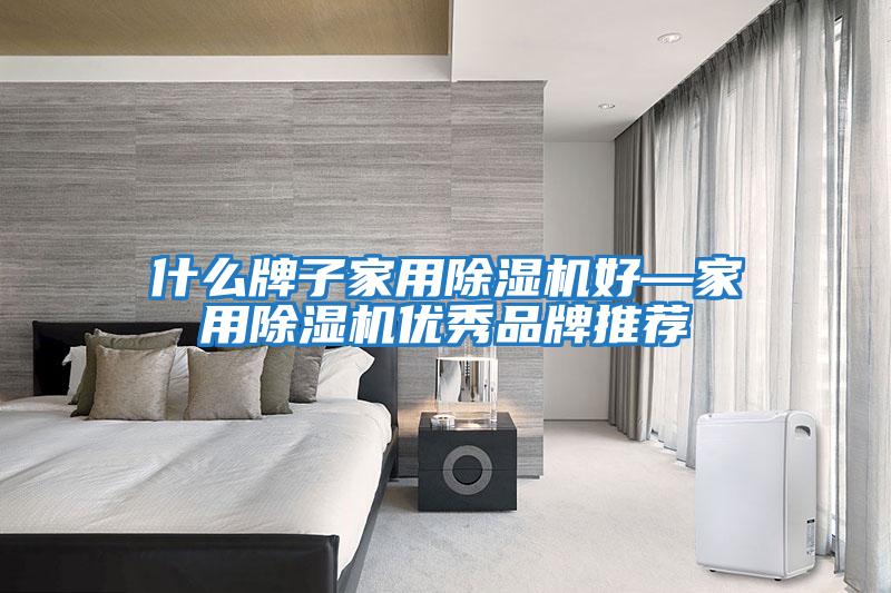 什么牌子家用除濕機好—家用除濕機優秀品牌推薦