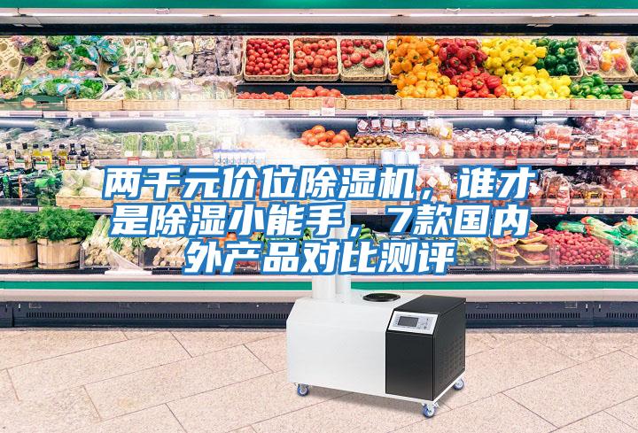 兩千元價位除濕機，誰才是除濕小能手，7款國內外產品對比測評