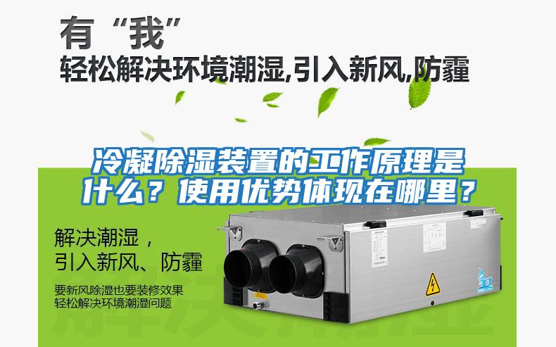 冷凝除濕裝置的工作原理是什么？使用優(yōu)勢(shì)體現(xiàn)在哪里？