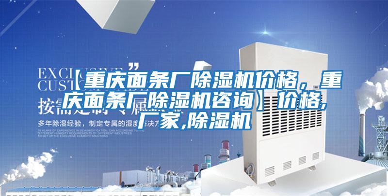 【重慶面條廠除濕機價格，重慶面條廠除濕機咨詢】價格,廠家,除濕機