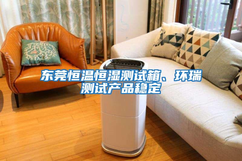 東莞恒溫恒濕測試箱、環瑞測試產品穩定