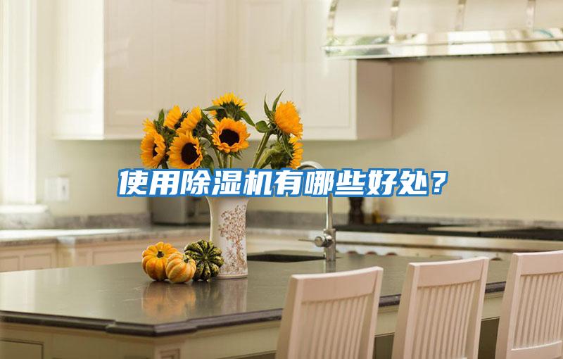 使用除濕機有哪些好處？