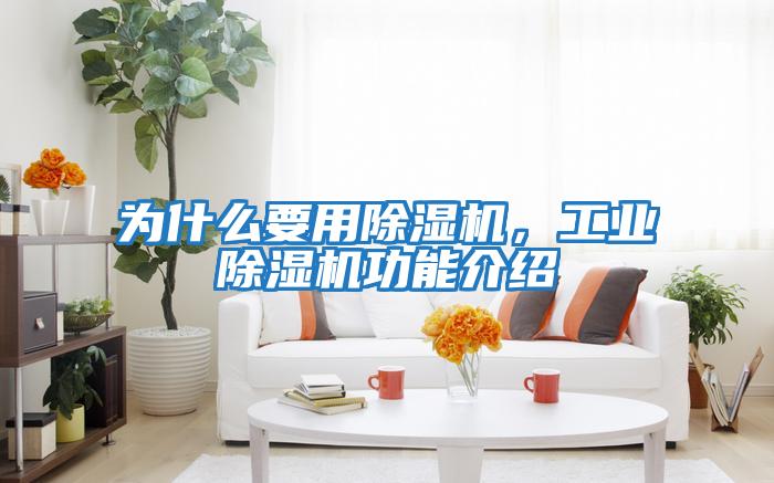 為什么要用除濕機，工業除濕機功能介紹