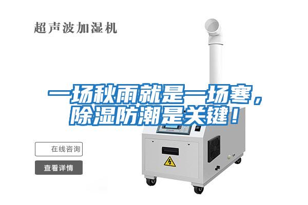 一場秋雨就是一場寒，除濕防潮是關鍵！