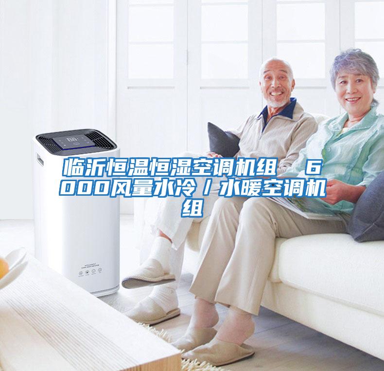 臨沂恒溫恒濕空調機組  6000風量水冷／水暖空調機組