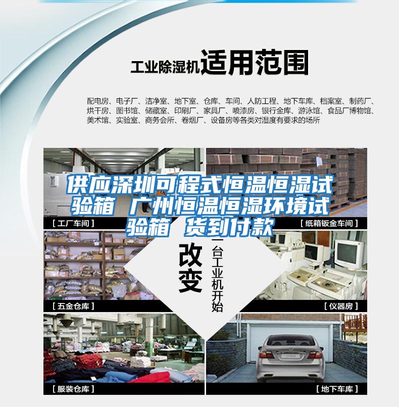 供應深圳可程式恒溫恒濕試驗箱 廣州恒溫恒濕環境試驗箱 貨到付款