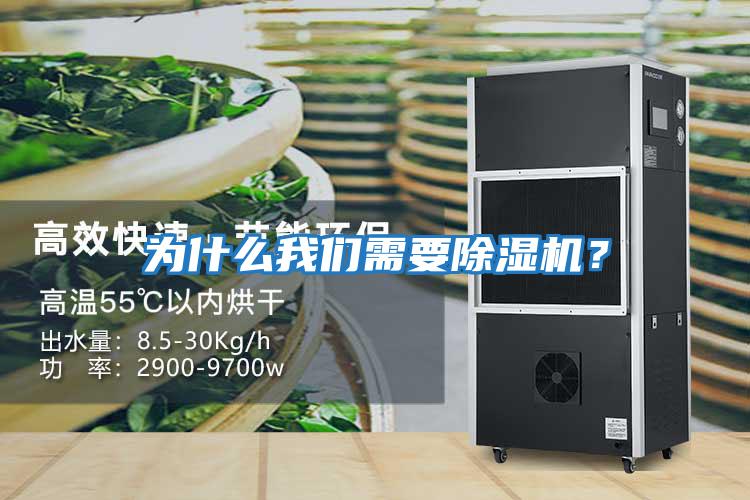 為什么我們需要除濕機?