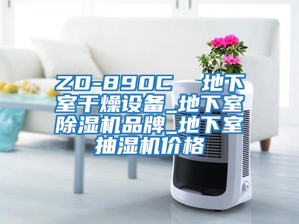 ZD-890C  地下室干燥設(shè)備_地下室除濕機(jī)品牌_地下室抽濕機(jī)價格