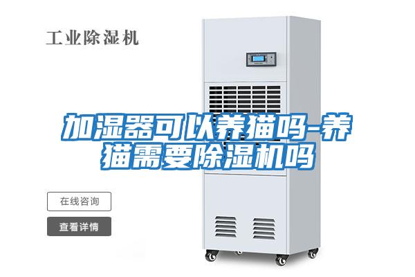 加濕器可以養貓嗎-養貓需要除濕機嗎