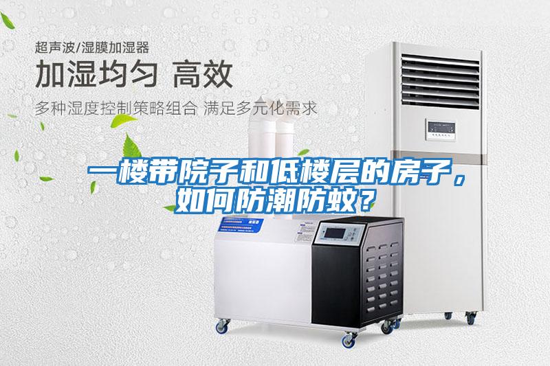 一樓帶院子和低樓層的房子，如何防潮防蚊？