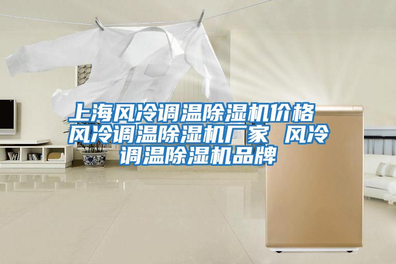 上海風冷調(diào)溫除濕機價格 風冷調(diào)溫除濕機廠家 風冷調(diào)溫除濕機品牌