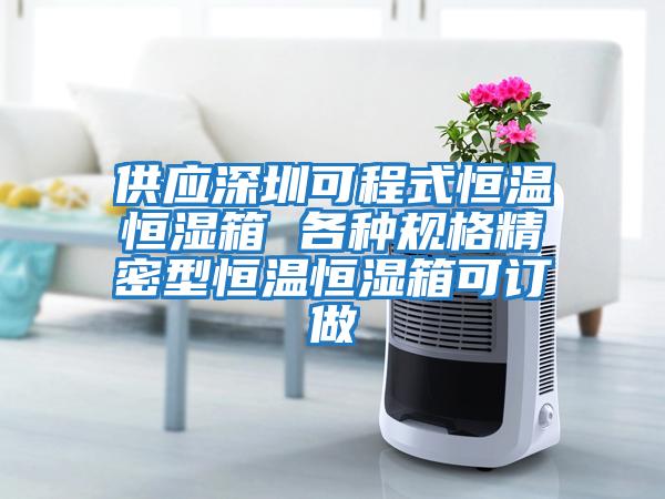 供應深圳可程式恒溫恒濕箱 各種規格精密型恒溫恒濕箱可訂做