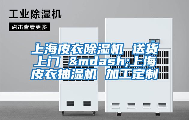 上海皮衣除濕機 送貨上門 &mdash;上海皮衣抽濕機 加工定制
