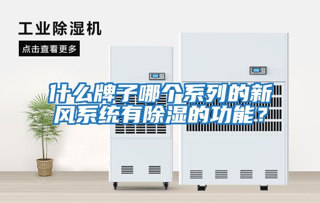什么牌子哪個系列的新風系統有除濕的功能？
