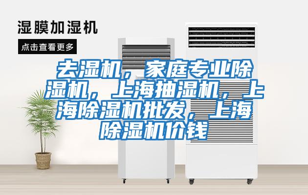 去濕機，家庭專業(yè)除濕機，上海抽濕機，上海除濕機批發(fā)，上海除濕機價錢