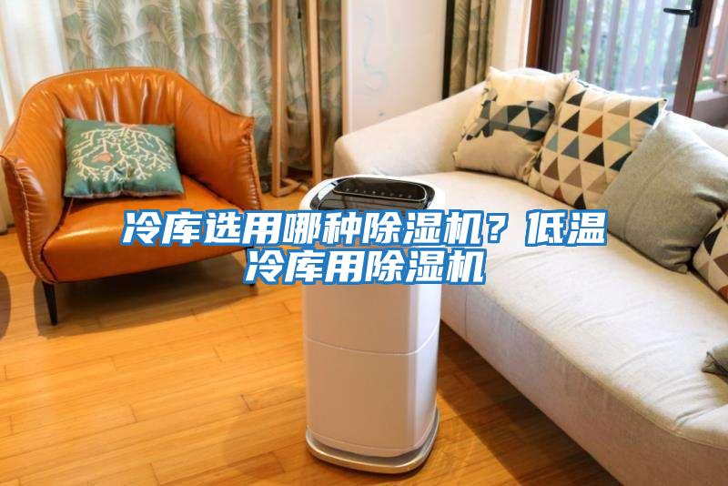 冷庫選用哪種除濕機？低溫冷庫用除濕機