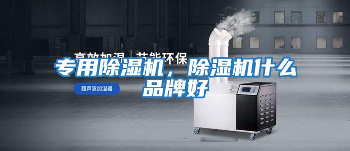 專用除濕機，除濕機什么品牌好