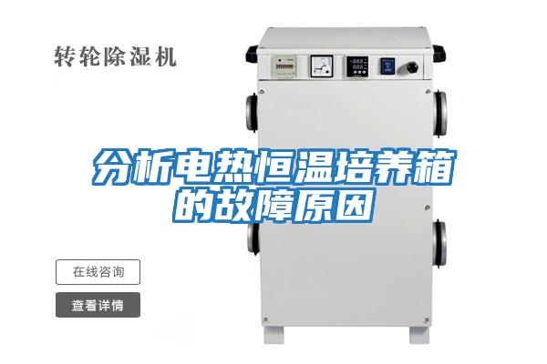 分析電熱恒溫培養箱的故障原因