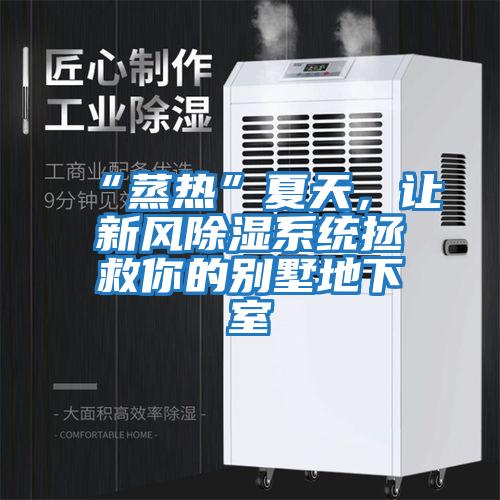 “蒸熱”夏天，讓新風(fēng)除濕系統(tǒng)拯救你的別墅地下室