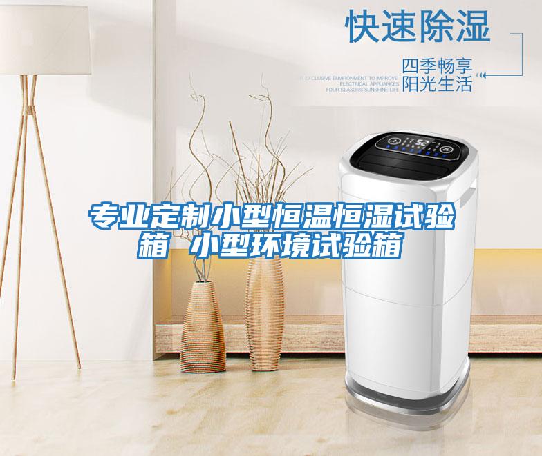 專業定制小型恒溫恒濕試驗箱 小型環境試驗箱