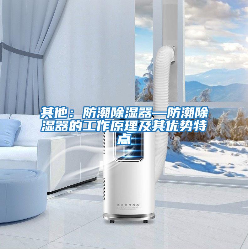其他：防潮除濕器—防潮除濕器的工作原理及其優勢特點