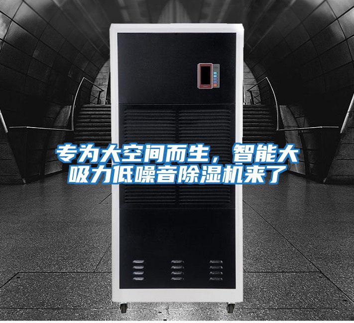專為大空間而生，智能大吸力低噪音除濕機來了