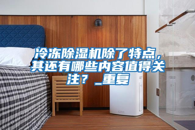 冷凍除濕機除了特點，其還有哪些內容值得關注？_重復