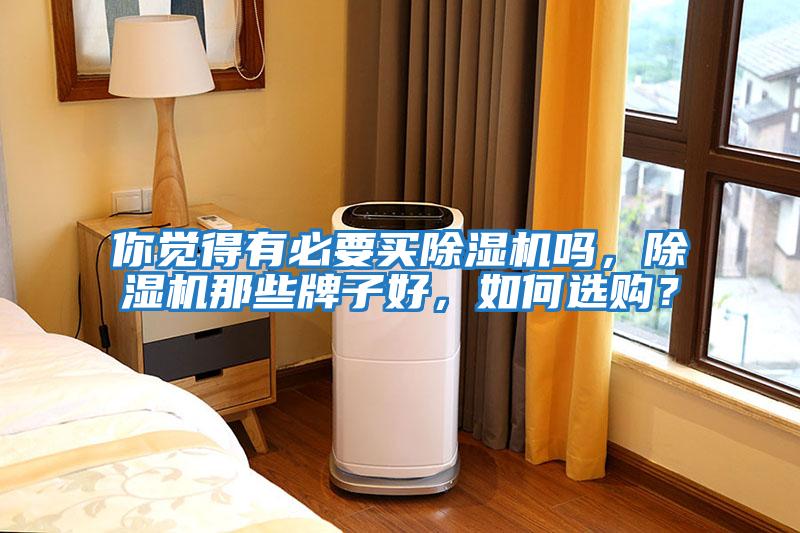 你覺得有必要買除濕機嗎，除濕機那些牌子好，如何選購？