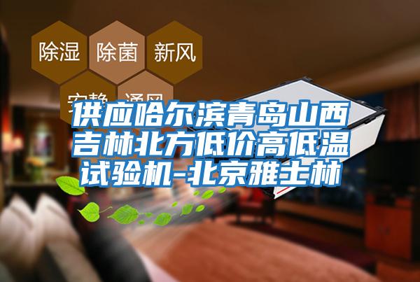 供應哈爾濱青島山西吉林北方低價高低溫試驗機-北京雅士林