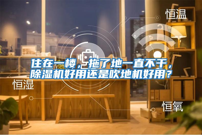 住在一樓，拖了地一直不干，除濕機好用還是吹地機好用？