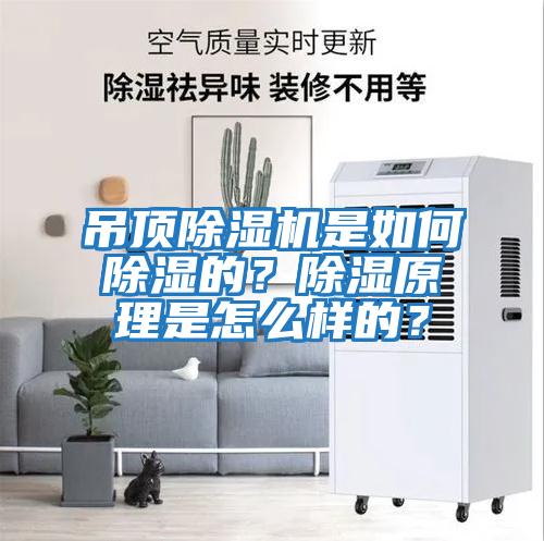 吊頂除濕機是如何除濕的?除濕原理是怎么樣的?