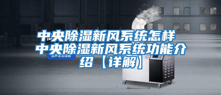 中央除濕新風系統怎樣 中央除濕新風系統功能介紹【詳解】