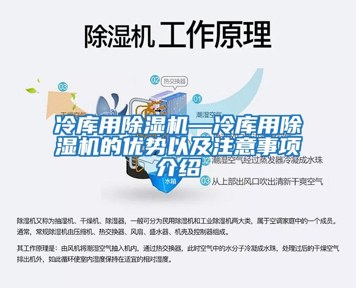 冷庫(kù)用除濕機(jī)—冷庫(kù)用除濕機(jī)的優(yōu)勢(shì)以及注意事項(xiàng)介紹