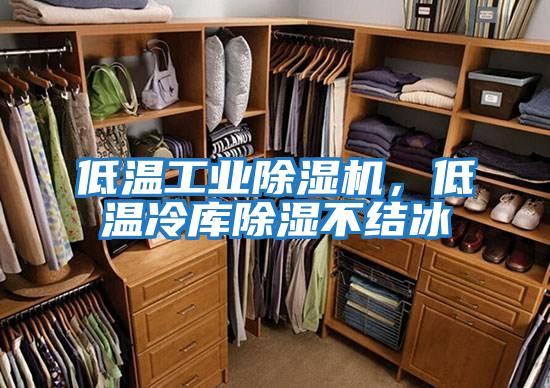 低溫工業(yè)除濕機，低溫冷庫除濕不結冰