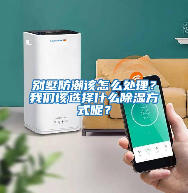 別墅防潮該怎么處理？我們該選擇什么除濕方式呢？