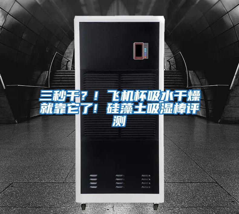 三秒干？! 飛機杯吸水干燥就靠它了! 硅藻土吸濕棒評測