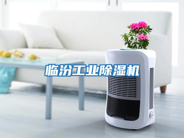 臨汾工業除濕機