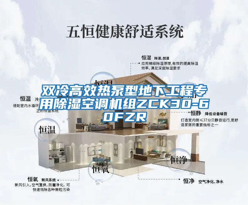 雙冷高效熱泵型地下工程專用除濕空調機組ZCK30-60FZR
