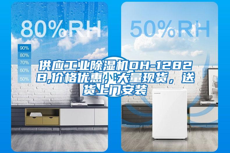供應(yīng)工業(yè)除濕機(jī)DH-1282B,價(jià)格優(yōu)惠，大量現(xiàn)貨，送貨上門安裝