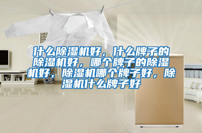 什么除濕機好，什么牌子的除濕機好，哪個牌子的除濕機好，除濕機哪個牌子好，除濕機什么牌子好
