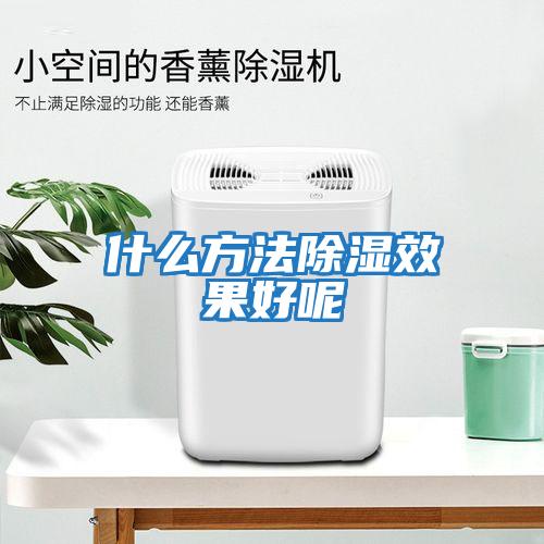 什么方法除濕效果好呢