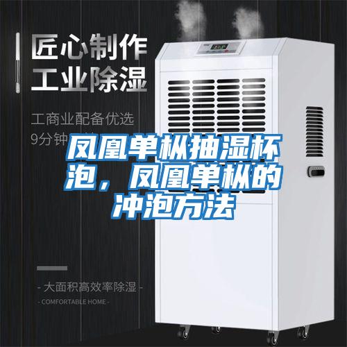 鳳凰單樅抽濕杯泡，鳳凰單樅的沖泡方法