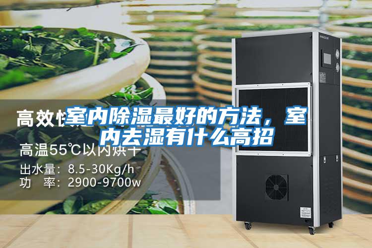 室內除濕最好的方法，室內去濕有什么高招