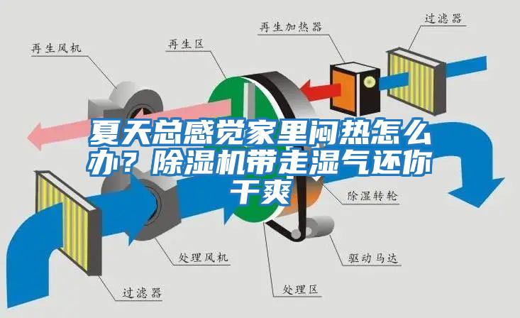 夏天總感覺家里悶熱怎么辦？除濕機(jī)帶走濕氣還你干爽