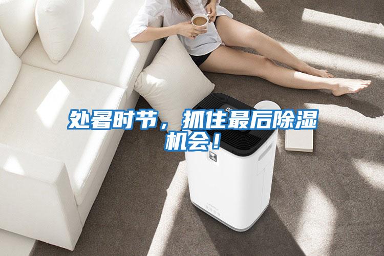 處暑時節，抓住最后除濕機會！