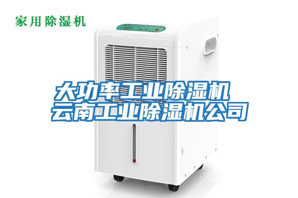 大功率工業(yè)除濕機(jī) 云南工業(yè)除濕機(jī)公司