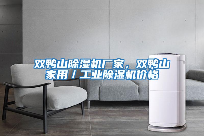 雙鴨山除濕機廠家,雙鴨山家用/工業除濕機價格