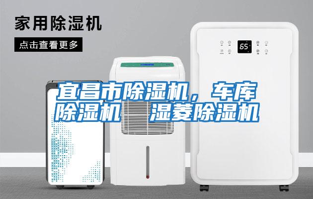 宜昌市除濕機(jī)，車庫除濕機(jī)  濕菱除濕機(jī)